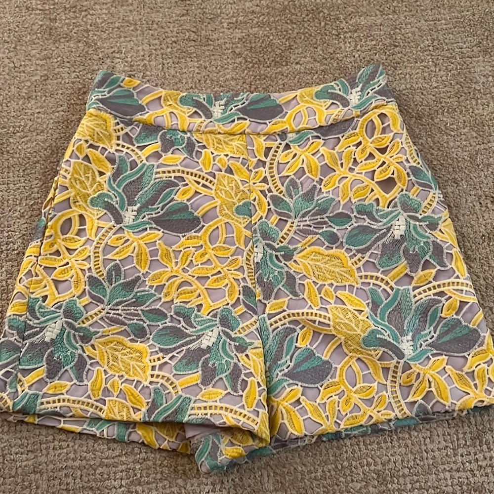 Anthropologie shorts